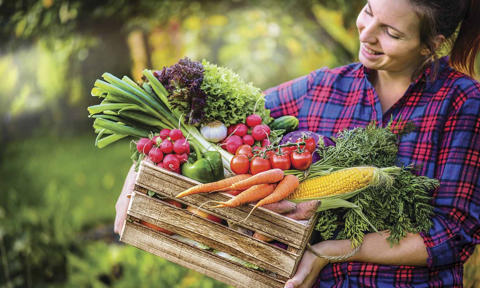 Hortalizas recién cogidas de la huerta
