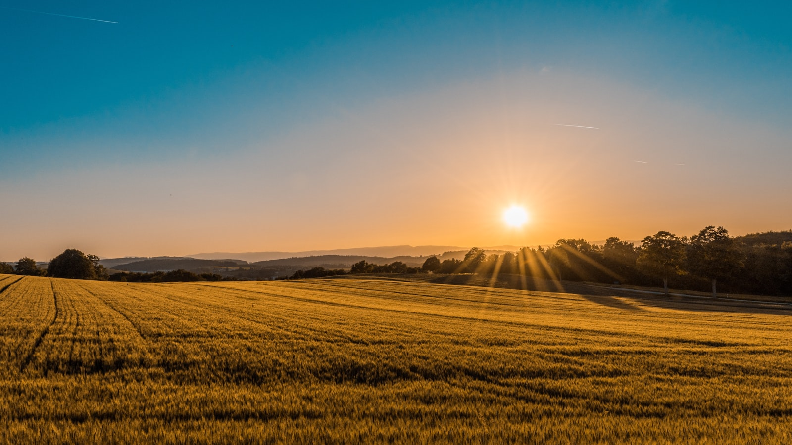 Campos al atardecer, donde nació la tecnología